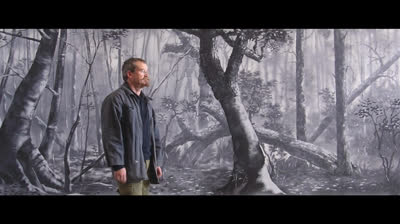 SUEÑOS EN LAS PAREDES