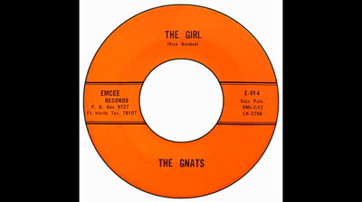 Gnats (1966) - The Girl