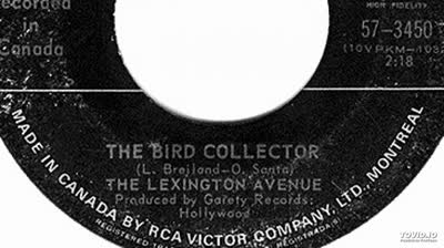 Lexington Avenue (1967) - The Bird Collector