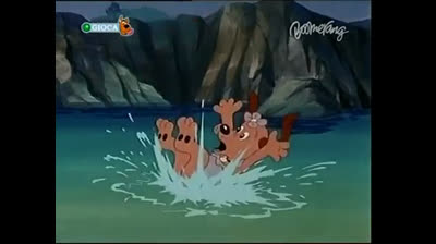 Gli amici Cercafamiglia 02 How to found a pound