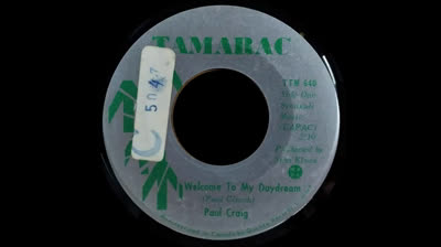 Paul Craig (1970) - Coat Of Colours