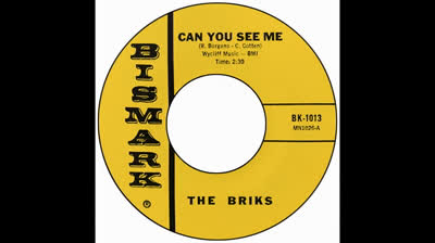 Briks (1966) - Can You See Me