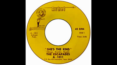 Escapades (1966) - She's The Kind