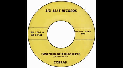Cobras (1966) - I Wanna Be Your Love