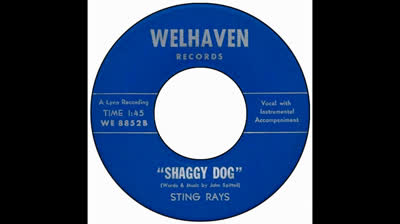 Sting Rays (1966) - Shaggy Dog