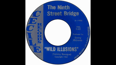 Ninth Street Bridge (1968) - Wild Illusions
