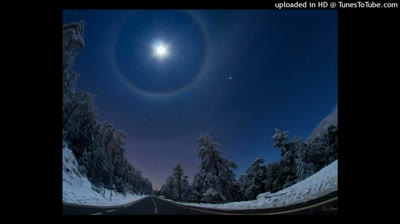 Aquele que tem os meus mandamentos e os guarda, esse é que me ama.