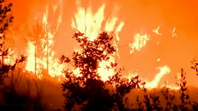 Mensaje de San Miguel Arcangel a la Profeta Luz de Maria, 2 de noviembre del 2024 ¡INESPERADOS CAMBIOS DE LA NATURALEZA!