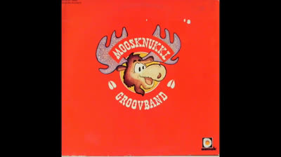Moosknukkl Groovband (1973) - Run For Your Life