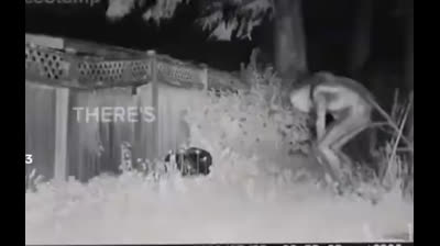 Aliens en visite aux USA