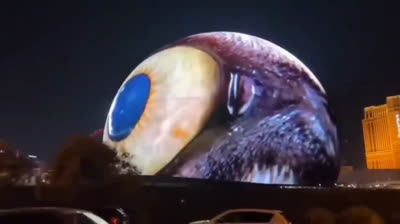 Vidéos avec technologies 7D (2)