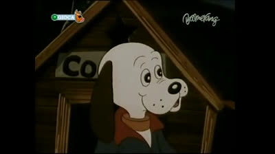 Gli amici Cercafamiglia 11 The star pup