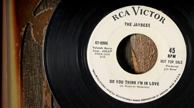 Jaybees (1966) - Do You Think I'm In Love