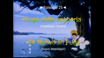 25 Le avventure di Huckleberry Finn - Di nuovo in fuga