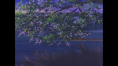 Tom Story - Ep 01 - Tom, Huck e il maiale selvatico