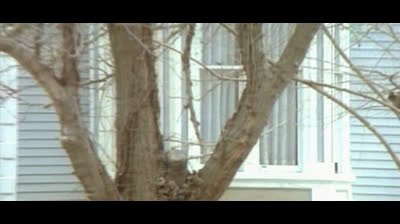 quella villa accanto al cimitero