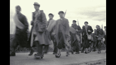 Cow lowing among ruins (2020) Full Documentary