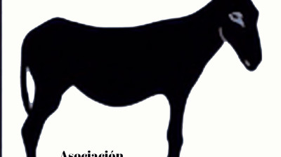 CEMENTERIO DE PEAL, DONDE HABITAN LOS RECUERDOS