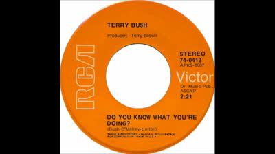 Terry Bush (1971) - Do You Know What You're Doing?