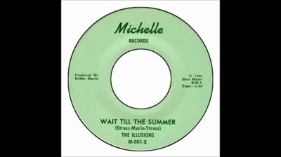 Illusions (1966) - Wait Till The Summer
