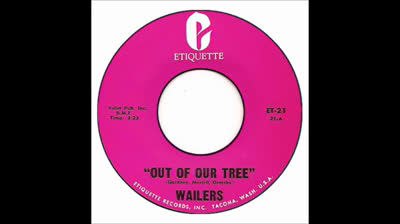Wailers (1965) - Out Of Our Tree