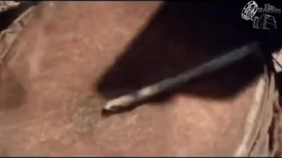 Karzan il favoloso uomo della jungla [HD]  1