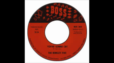 Berkley Five (1966) - You're Gonna Cry