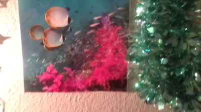 I'M BEING ORGANIZED STALKED FOR NO REASON EXPLAINED DEALLING WITH HARD SHIP.