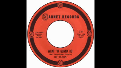 Vy-Dels (1965) - What I'm Gonna Do