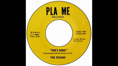 Oceans (1966)- She's Gone