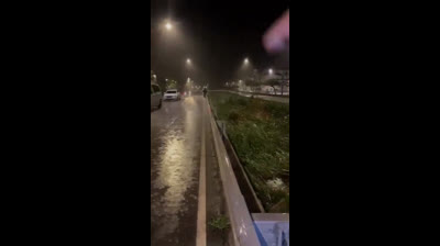 Motril (Granada)Pregúntate por qué no interesa que se limpien los ríos y por qué ponen multas por limpiarlos.