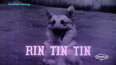 Rin Tin Tin 1x09 Il Clandestino di Fort Apache