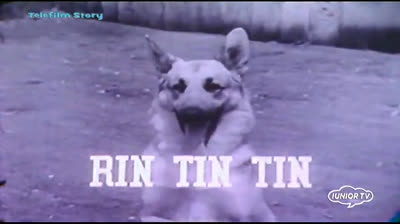 Rin Tin Tin 1x11 ep La Recluta Inesperta
