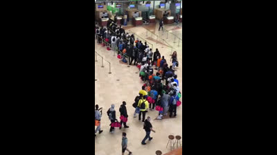 Despertad!!!Es inadmisible, deleznable, y nauseabundo, no hay dinero para los valencianos...pero hay aviones para traer cientos de ilegales a Tenerife y meterlos en hoteles con pensión completa!!!