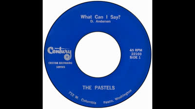 Pastels (1965) - What Can I Say?