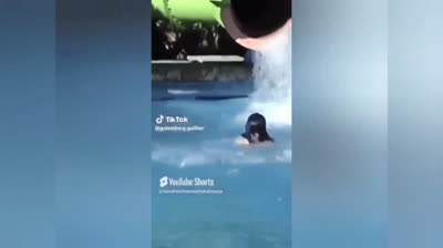 (A Família de uma Bagunça do meu Melhor amigo da Pesada)-(VHS COMPLETO HDTV)-(Ano de 2024)-(Abril Music em Som Livre Vídeo)