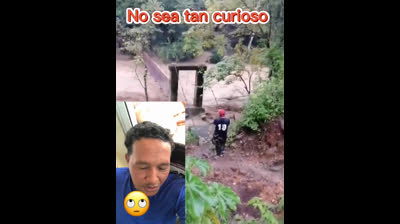 La curiosidad y su resultado