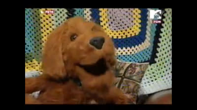 Mtv Pets - Drugs (ITA)