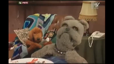 trevor ed il tavolino