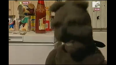 MTV Pets (Ita) - 1x01 - Christmas