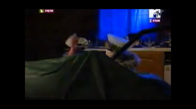 MTV Pets (Ita) - 1x04 - American Beauty