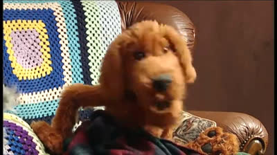 MTV Pets 1x05 - In Linea (On Hold)