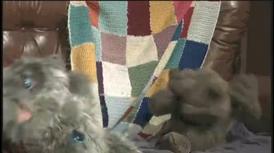 MTV Pets 1x08 - La Teoria Del Complotto