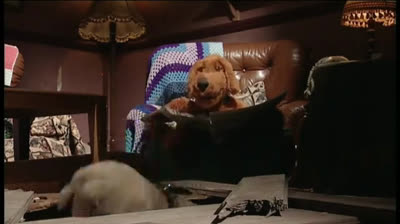 MTV Pets 1x12 - Soldi