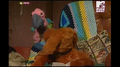 mtv pets ITA Robot Wars