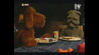 MTV Pets ITA - Talent