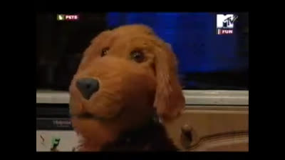 Mtv Pets S02E11 Curse Of The Mummy