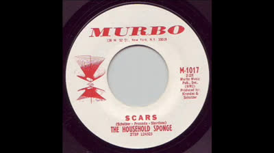 Household Sponge (1967) - Scars