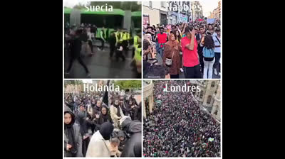 Habrá guerra en Europa. El enemigo se llama Islam. Les hemos invitado a casa y le estamos pagando la comida y las armas. Mientras, se reproducen numerosamente.