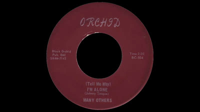 Many Others (1965) - (Tell Me Why) I'm Alone